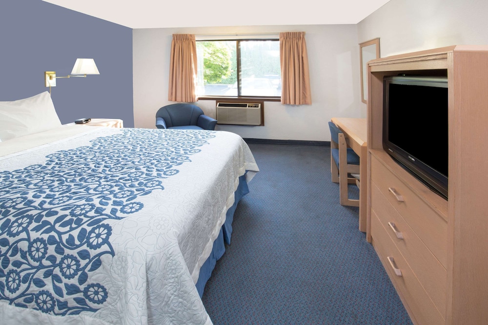 Suite, 1 King Bed photo 1