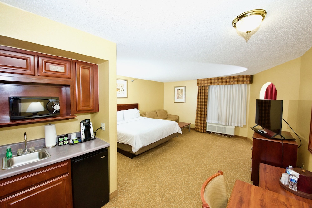 Suite, 1 King Bed