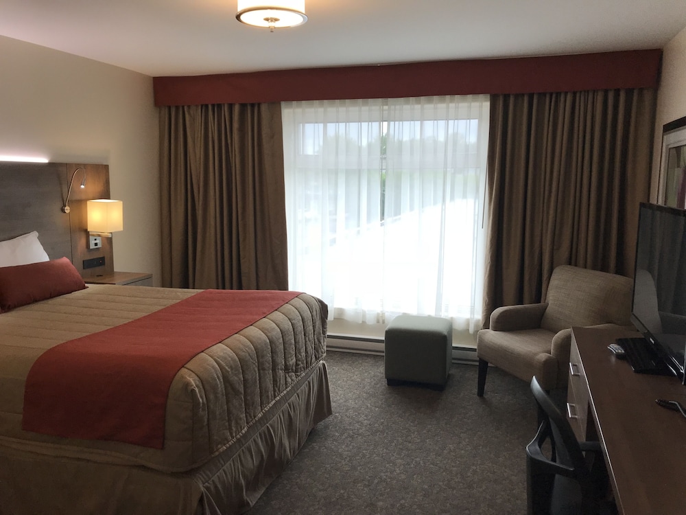 Executive Room, 1 Queen Bed photo 3