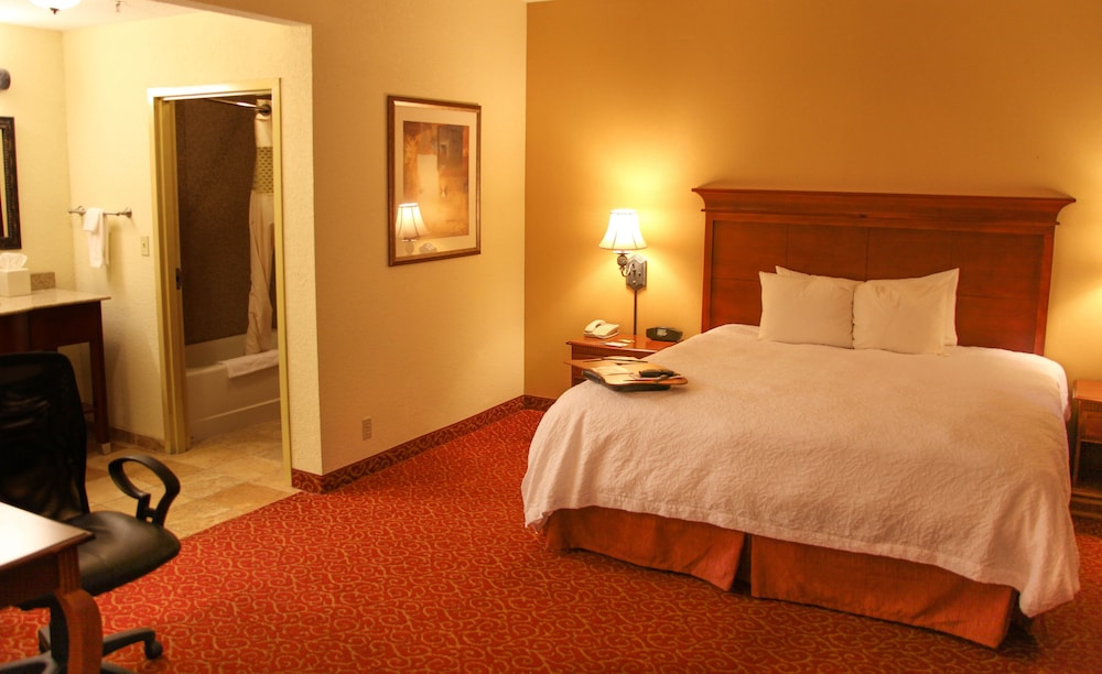 Room, 1 King Bed, Accessible - Photo 3