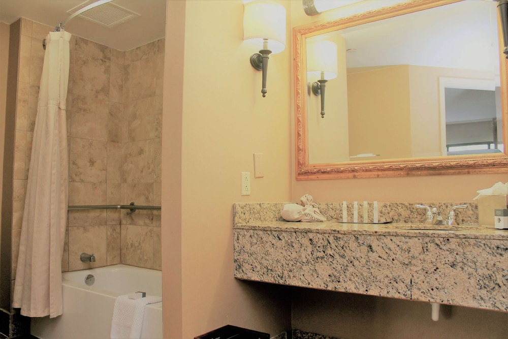 Suite, 1 King Bed, Accessible - Photo 5