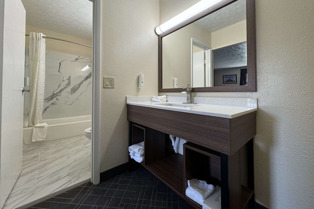 Suite, 1 King Bed with Sofa bed, Non Smoking - Photo 4
