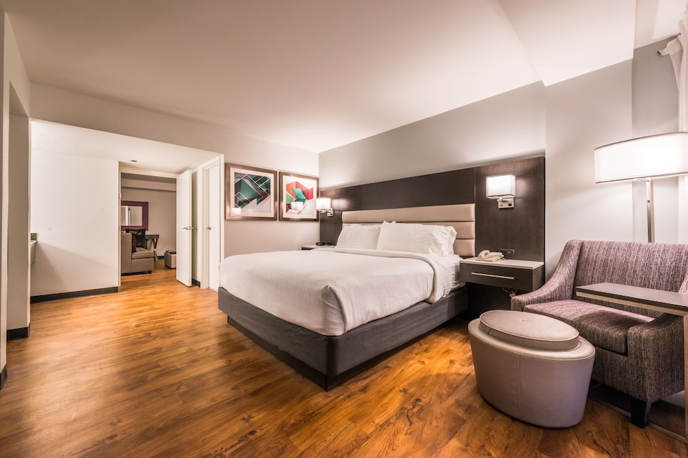Suite, 1 Bedroom - Photo 1