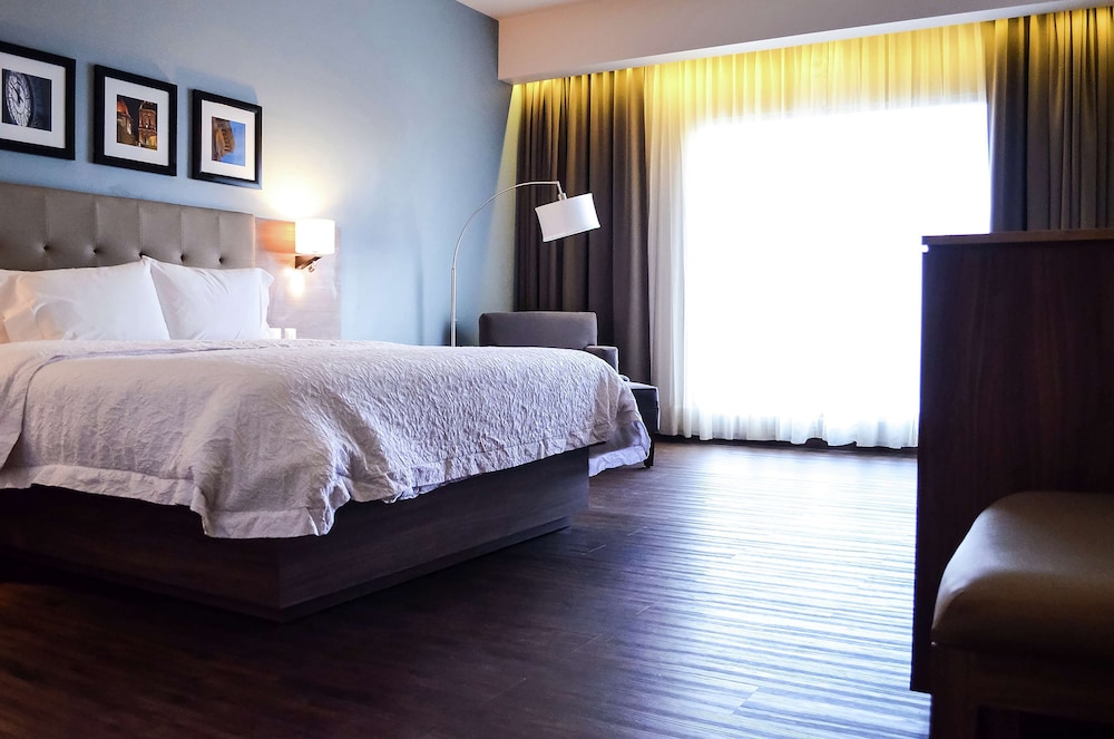Room, 1 King Bed, Refrigerator photo 1
