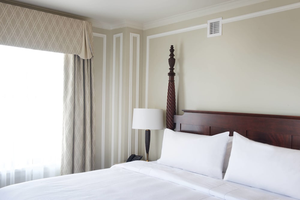 Club Room, 1 King Bed with Sofa bed (Hearing Accessible) photo 3