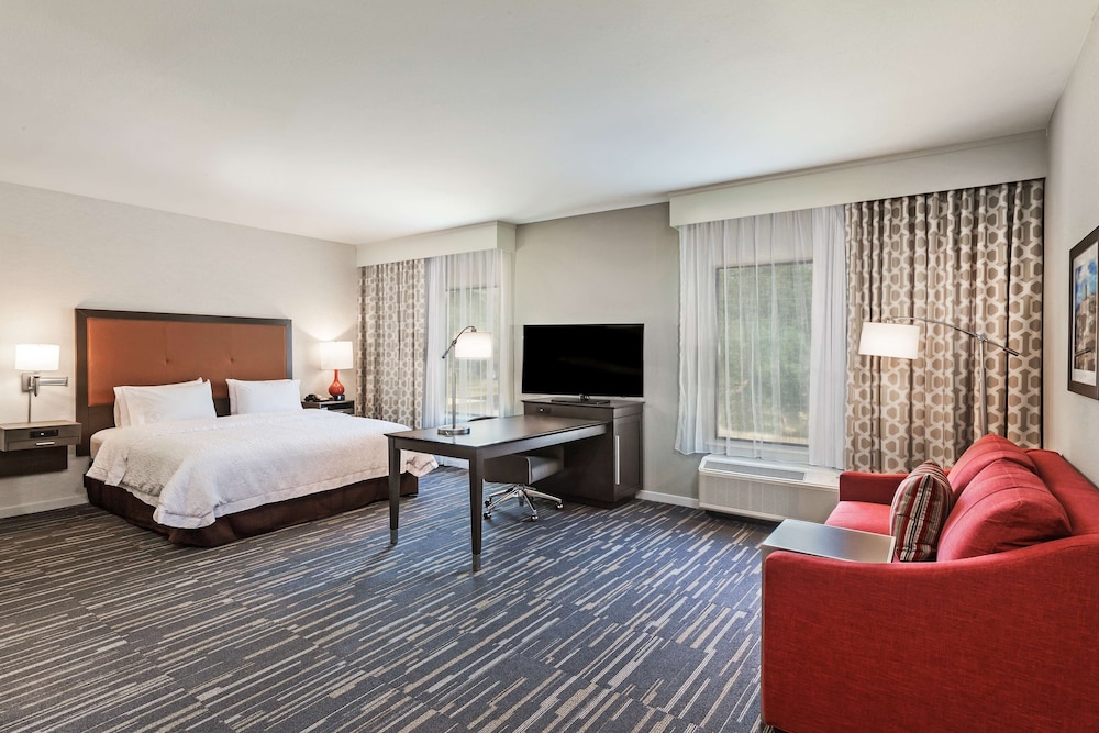 Room, 1 King Bed, Accessible, Bathtub