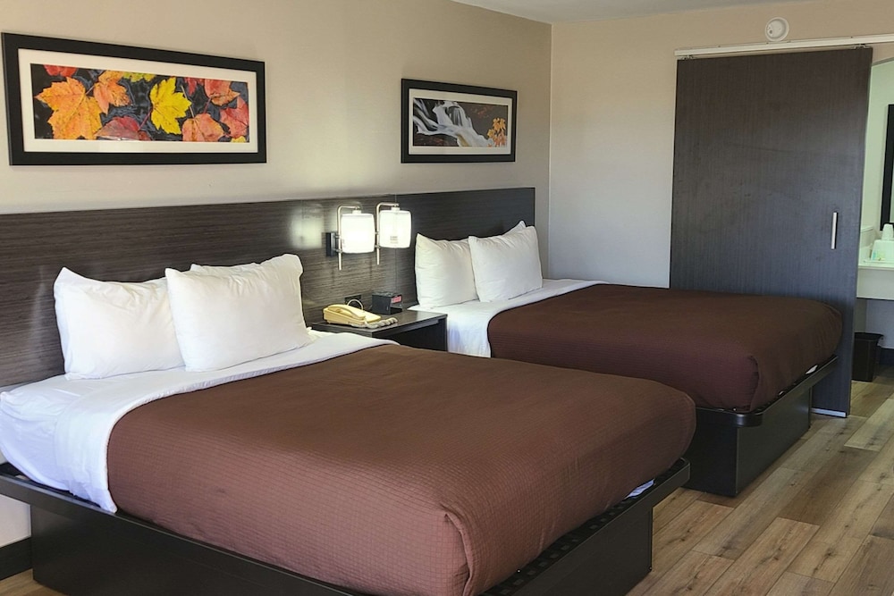 Standard Room, 2 Double Beds, Smoking photo 1