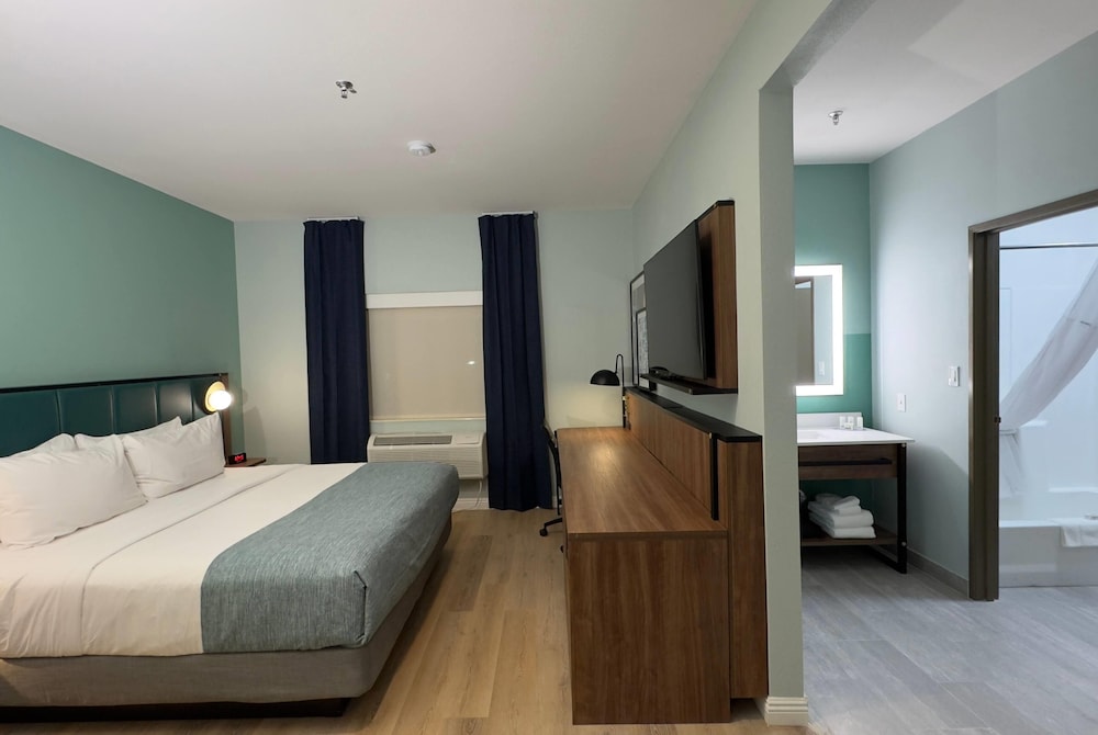Suite, 1 King Bed, Non Smoking - Photo 1