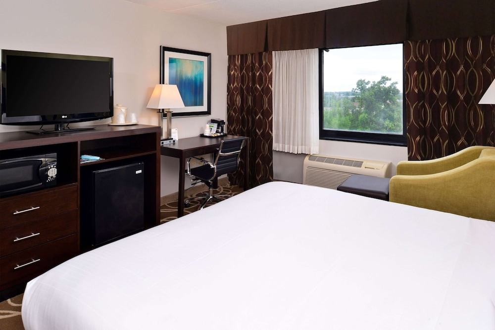 Deluxe Room, 1 King Bed, Accessible, Non Smoking (Hearing, Roll-in Shower) - Photo 4