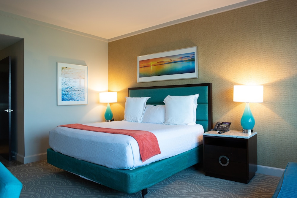 Standard Room, 1 King Bed, Accessible photo 3