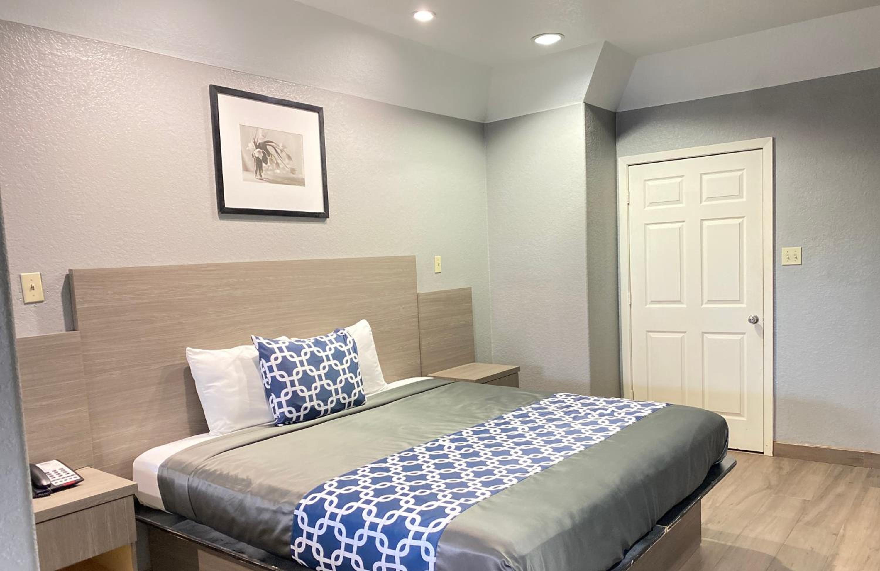 King Suite - Photo 1