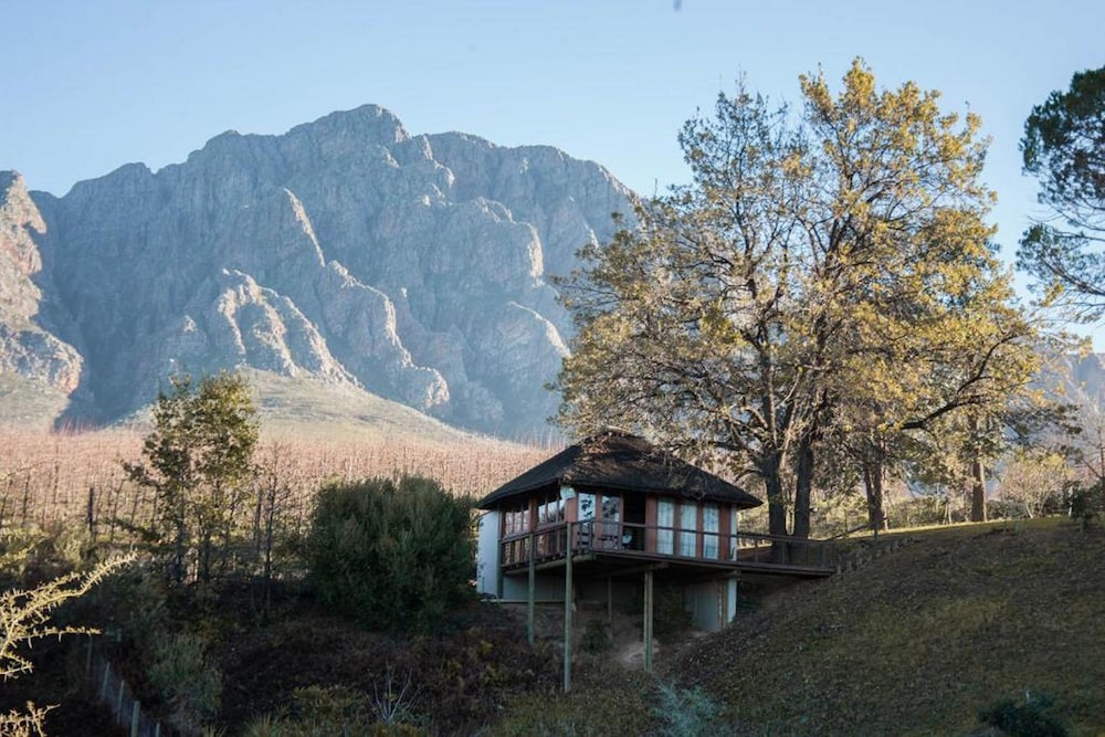 Honeymoon Cottage (Lavendar) photo 1
