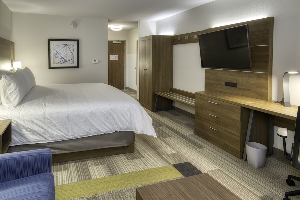 Suite, 1 King Bed photo 3