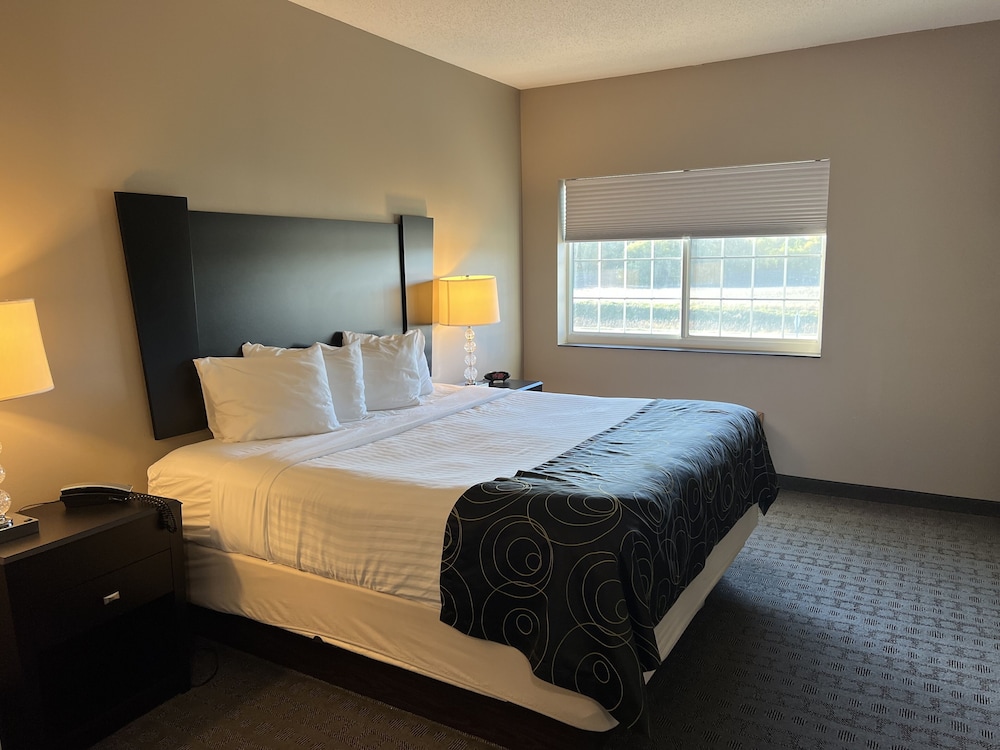 Executive Suite, 1 King Bed with Sofa bed photo 1