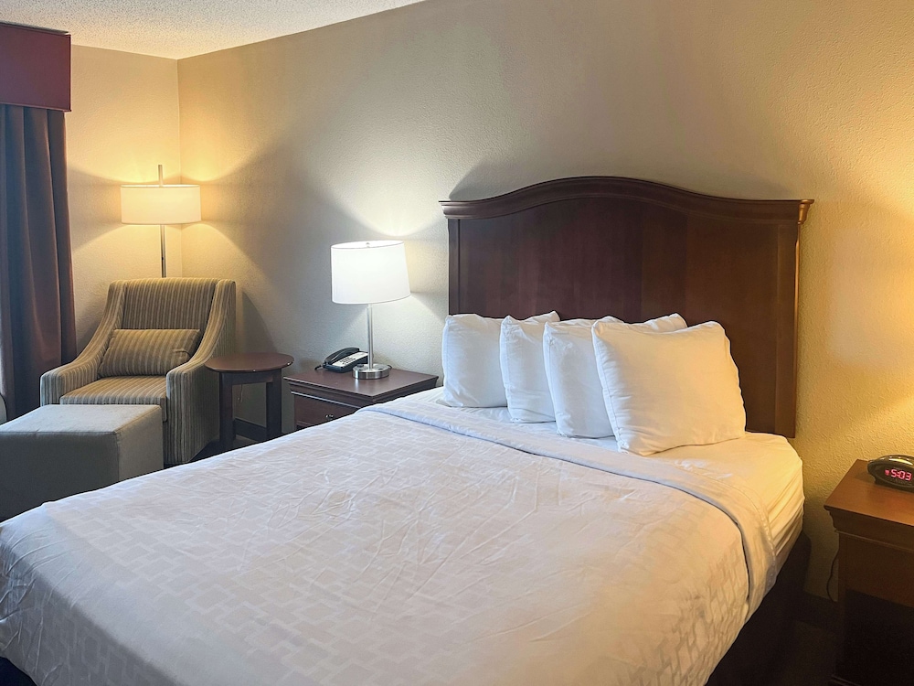 Deluxe Room, 1 Queen Bed, Smoking, Refrigerator & Microwave photo 1