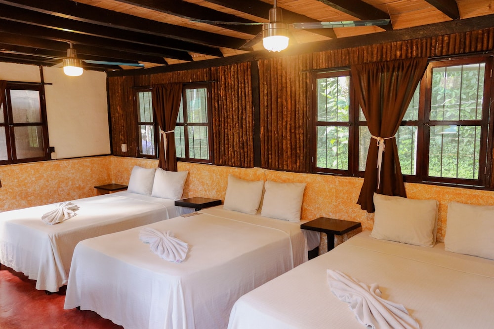 Family Room, Multiple Beds, Private Bathroom photo 3