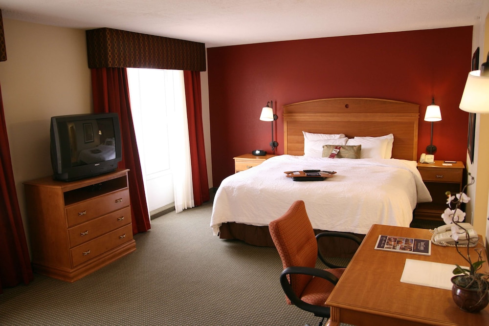 Suite, 1 King Bed, Accessible, Non Smoking photo 3