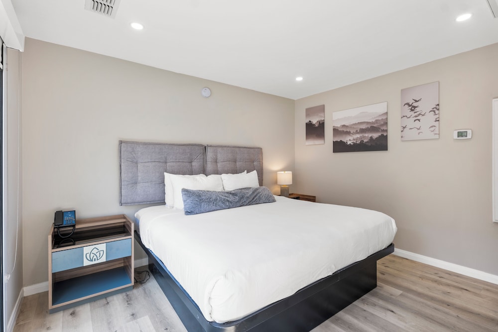Executive Suite - Photo 2