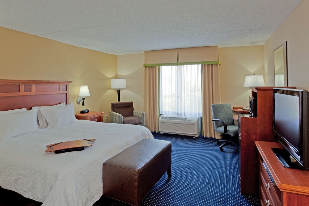 Room, 1 King Bed, Accessible, Non Smoking (Mobility, Hearing, Roll-In Shower) photo 1