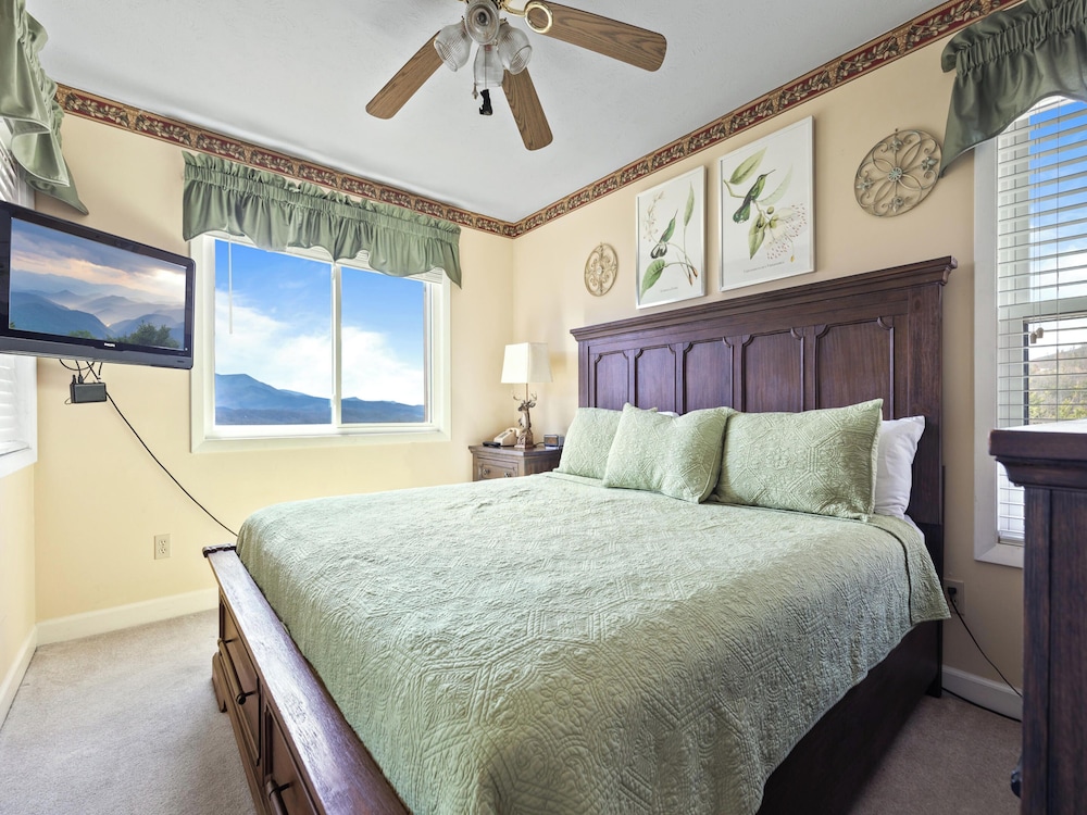 Condo, 1 King Bed with Sofa bed, Balcony, Mountain View (#D204 - No Pets) photo 2