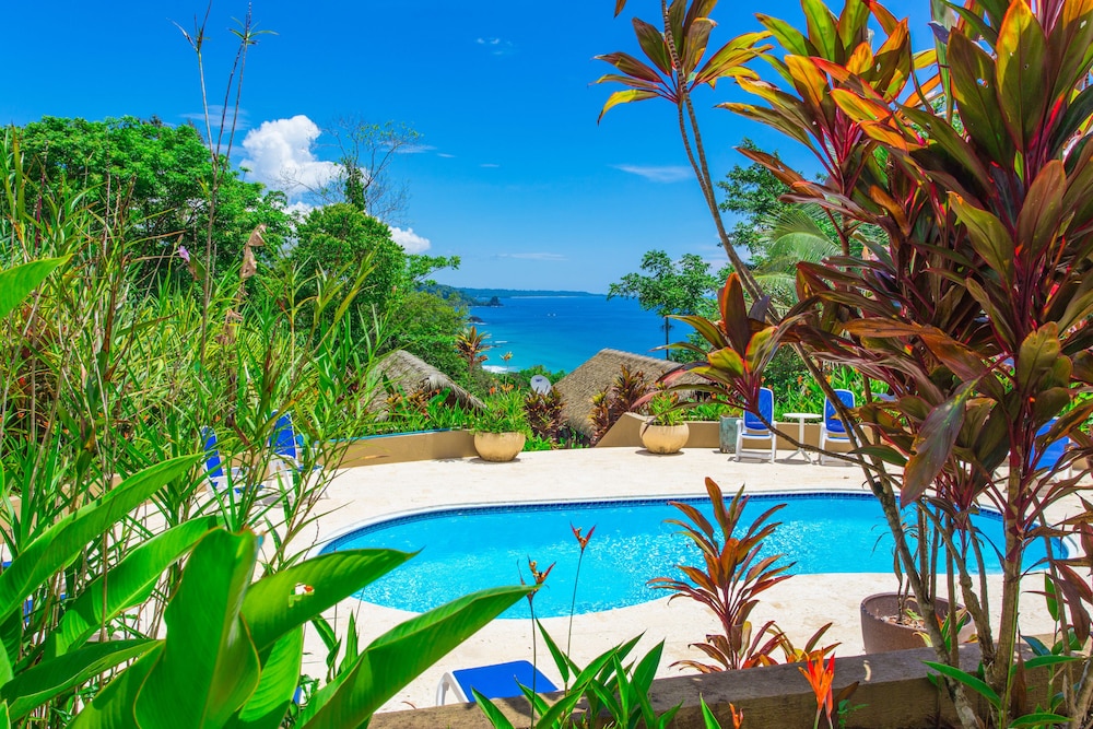 Jungle Lodge, 2 Bedrooms - Photo 2