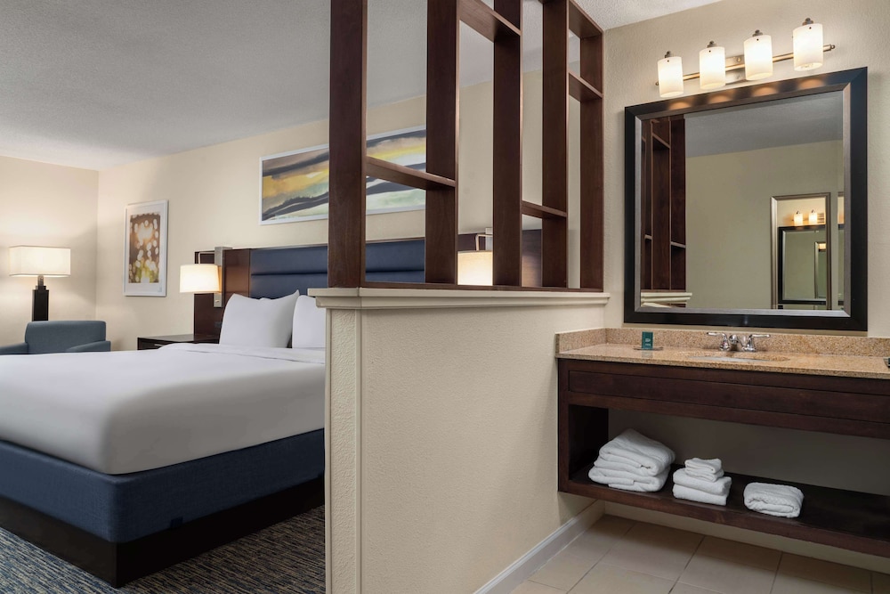 Suite, 1 King Bed with Sofa bed