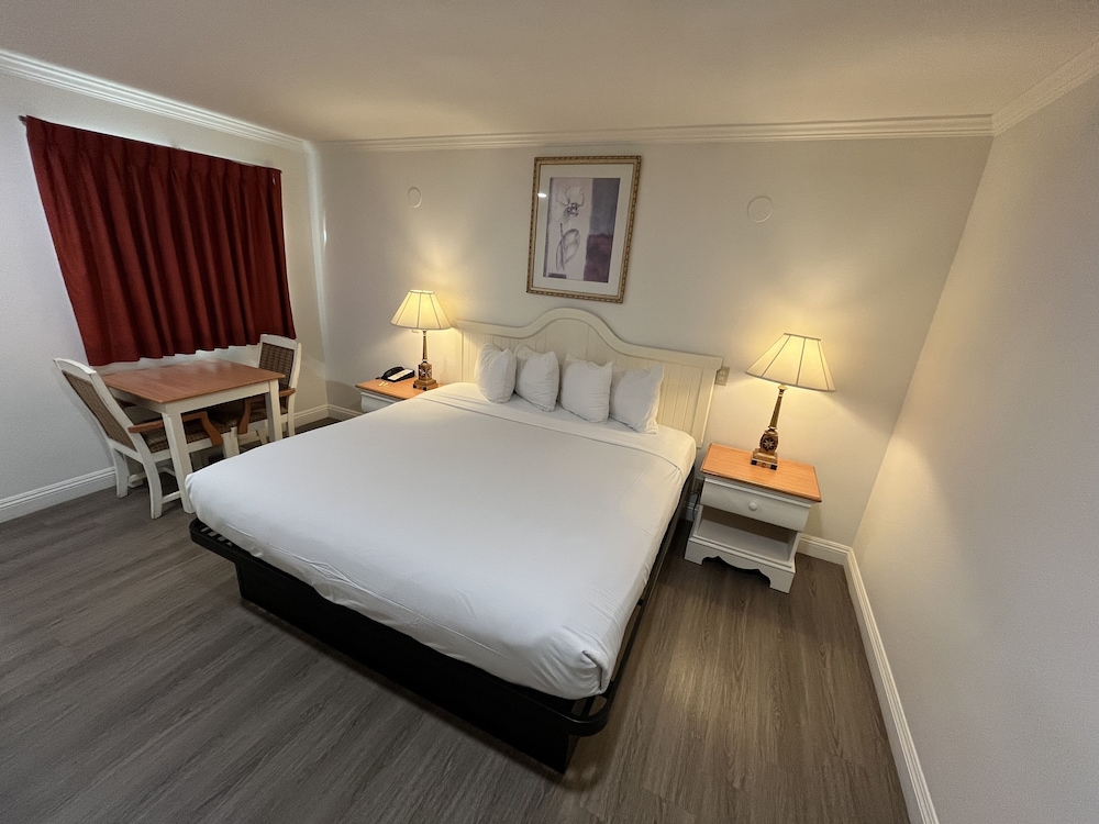 Standard Room, 1 King Bed, Non Smoking photo 3