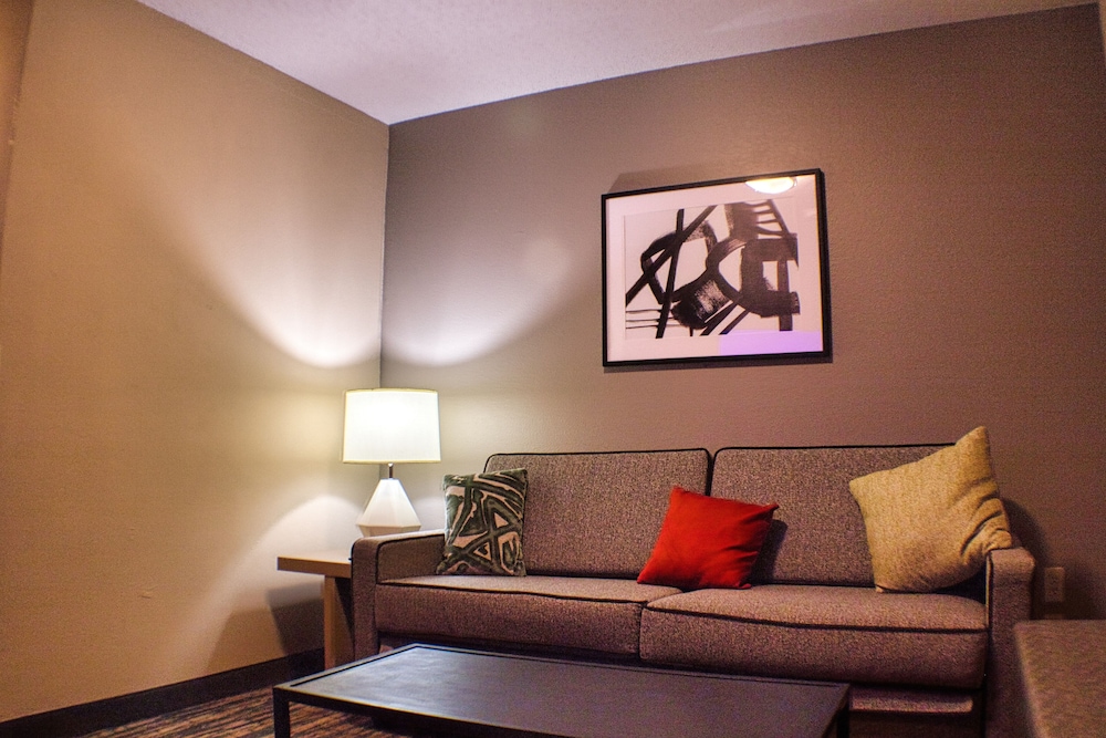 Standard Room, 1 King Bed, Non Smoking, Refrigerator & Microwave (With Sofabed) - Photo 2