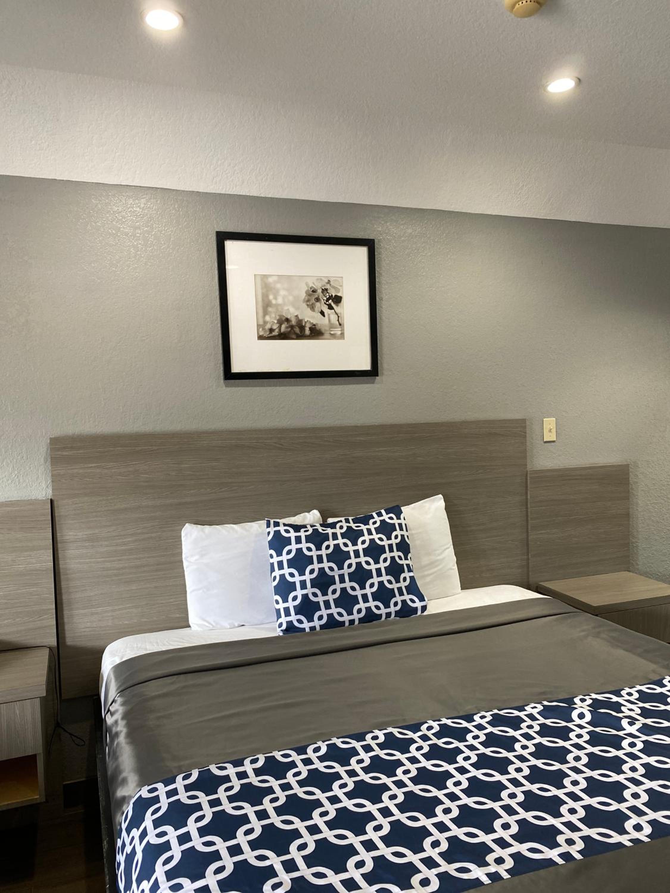 King Suite - Photo 14