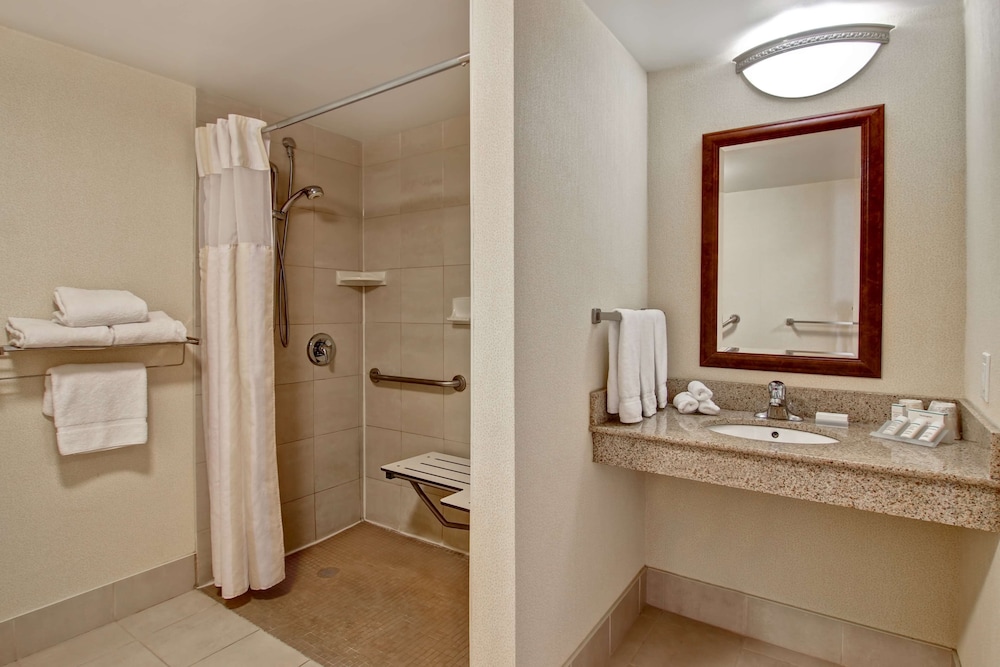 Room, 1 King Bed, Accessible - Photo 5