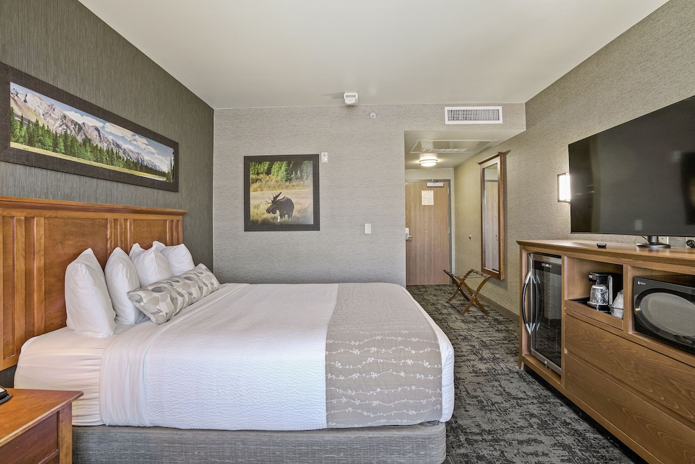 Standard Room, 1 King Bed photo 2