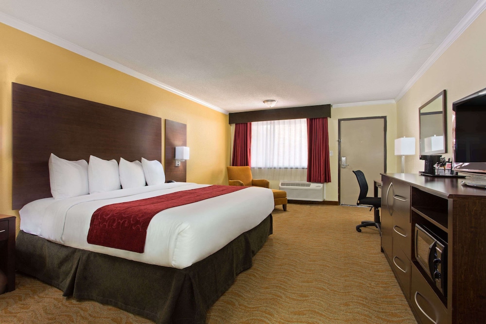 Executive Room, 1 King Bed, Non Smoking photo 3