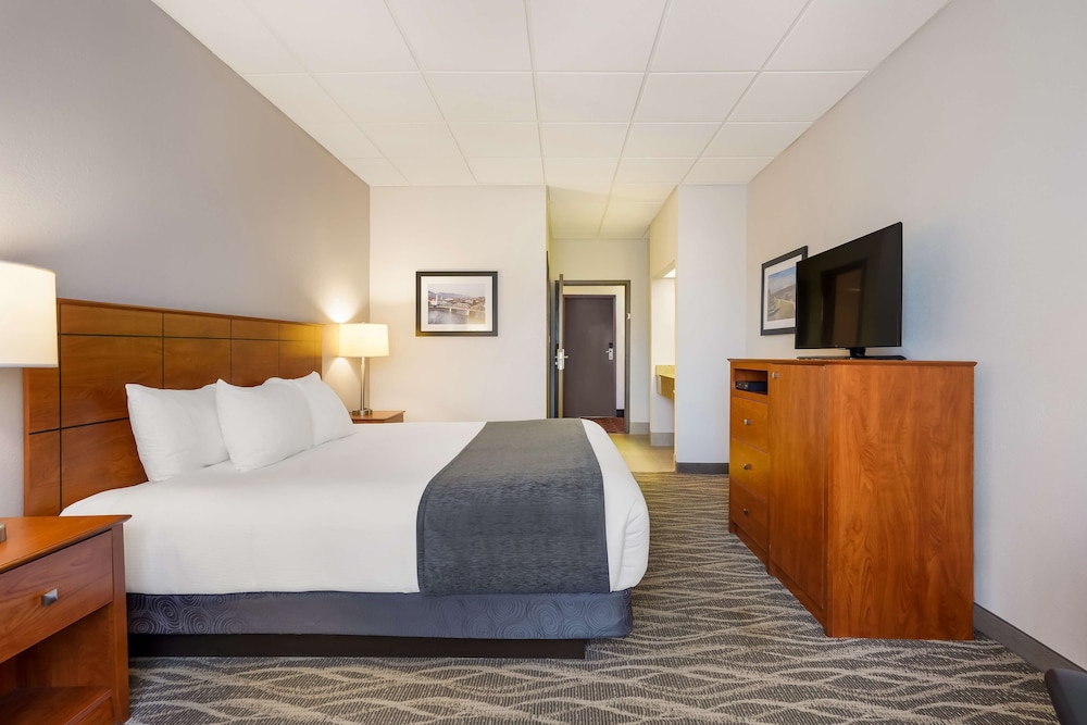 Standard Room, 1 King Bed, Accessible, Refrigerator & Microwave photo 3