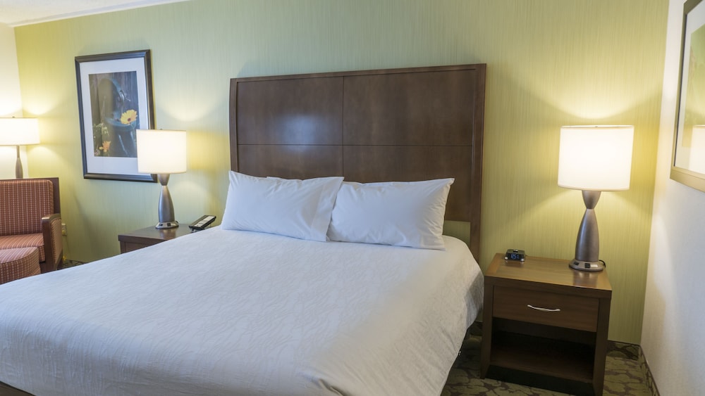 Junior Suite, 1 King Bed photo 1