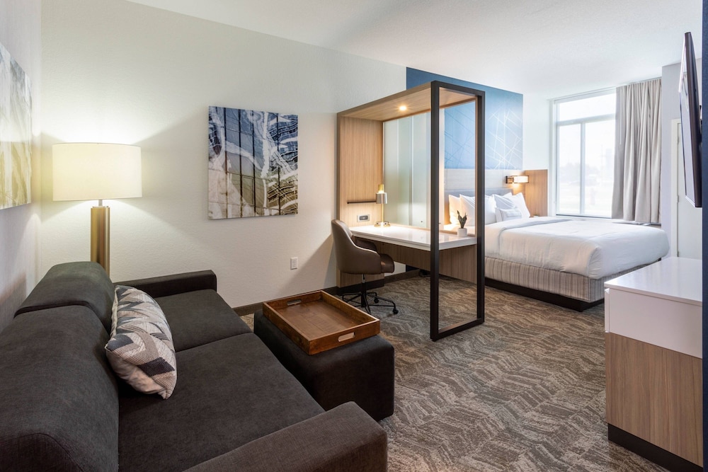 Suite, 1 King Bed - Photo 4