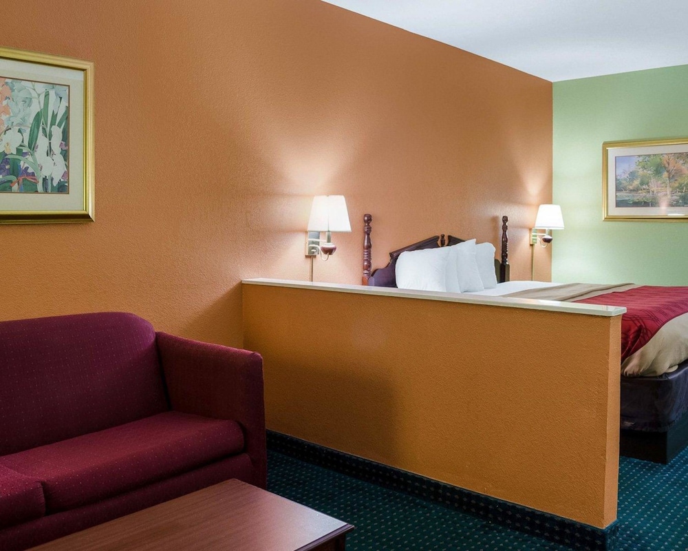 Standard Room, 1 King Bed with Sofa bed, Non Smoking photo 2