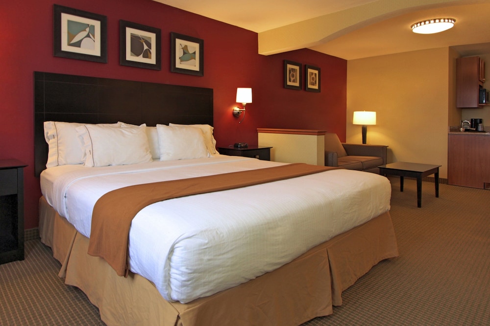 Suite, 1 King Bed with Sofa bed - Photo 1