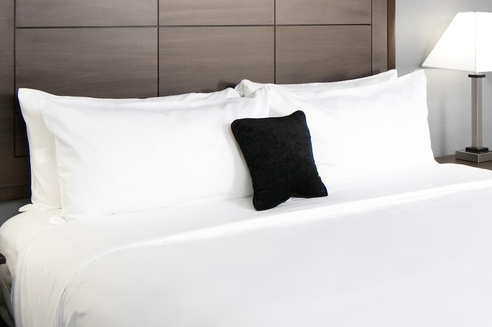 Room, 1 King Bed