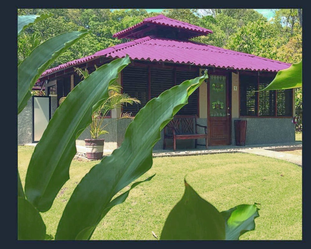 Deluxe Bungalow, 1 Bedroom, Garden View photo 3