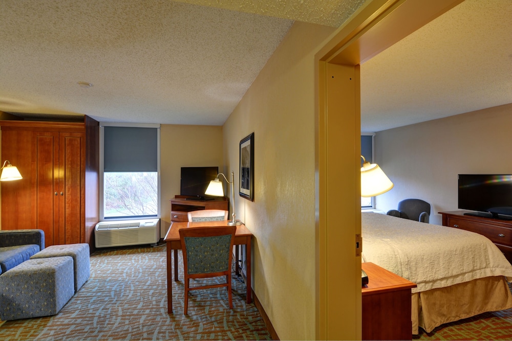 Suite, 1 King Bed, Accessible, Non Smoking - Photo 2