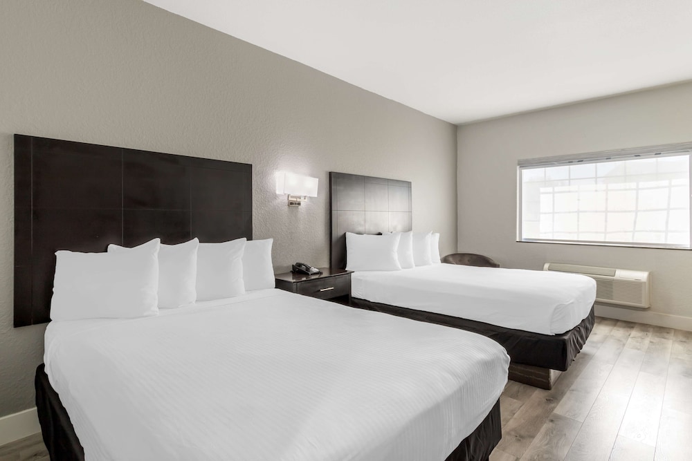 Standard Room, 2 Queen Beds, Accessible, Refrigerator & Microwave - Photo 1