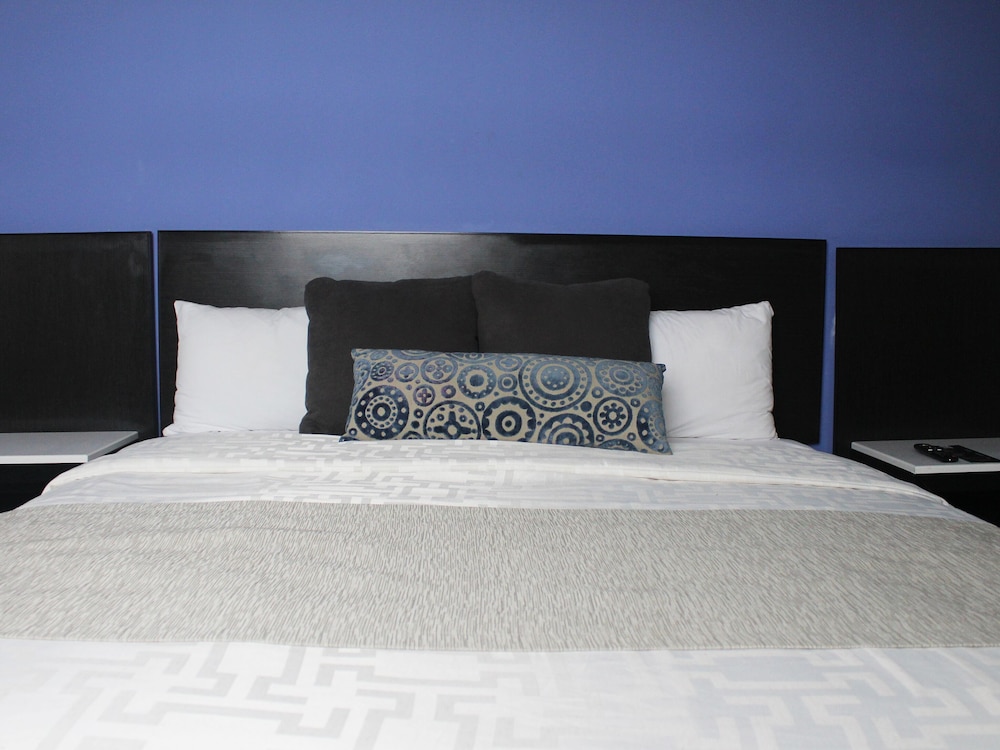 Premium Single Room photo 3