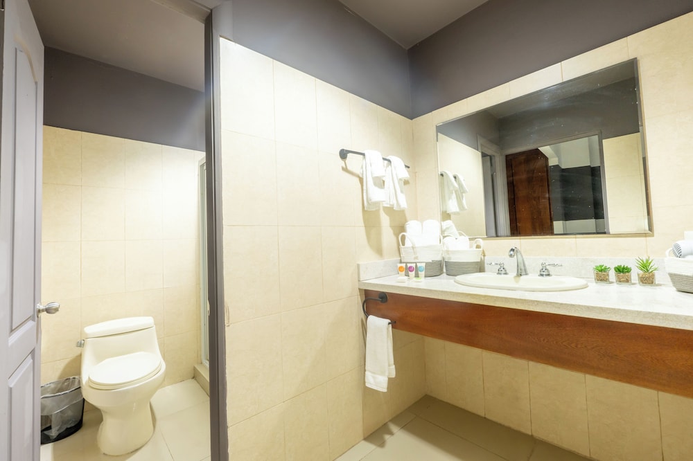 Deluxe Double Room Single Use photo 2