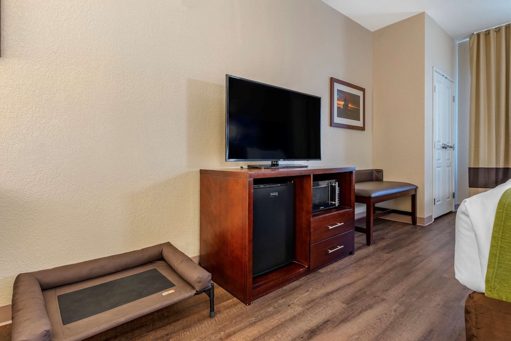 Suite, Multiple Beds, Non Smoking - Photo 3