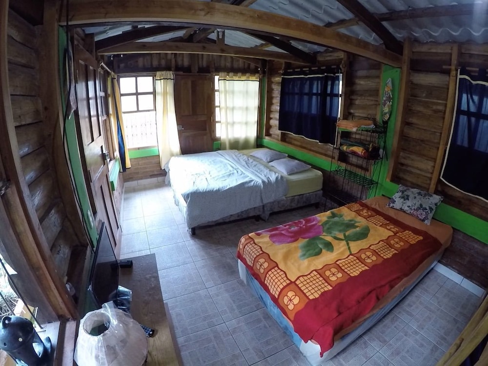 Family Double Room, Multiple Beds, Non Smoking photo 1