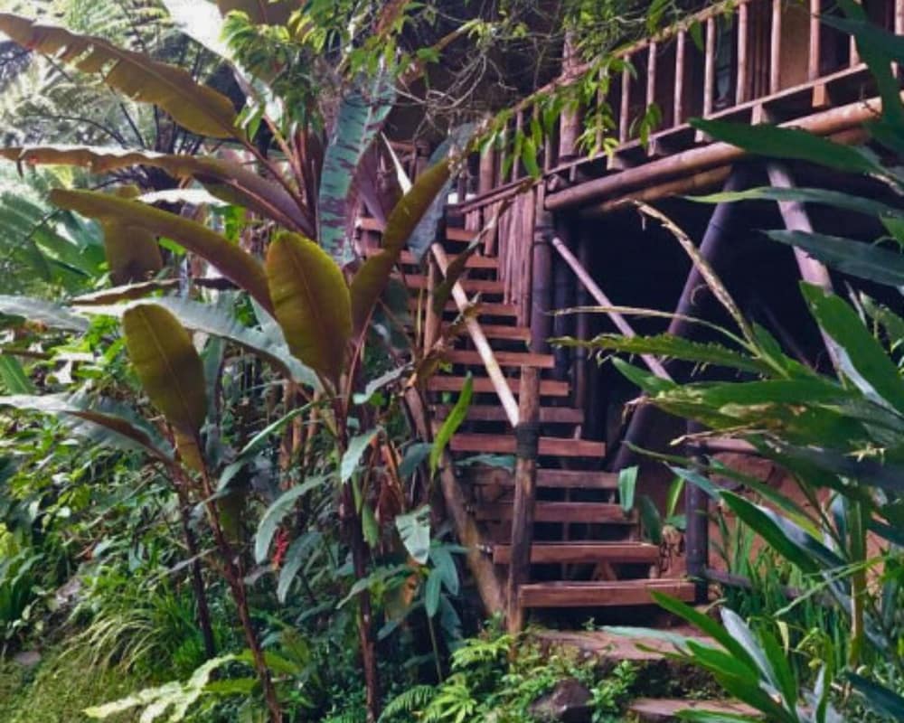 Family Bungalow, Balcony, Garden View