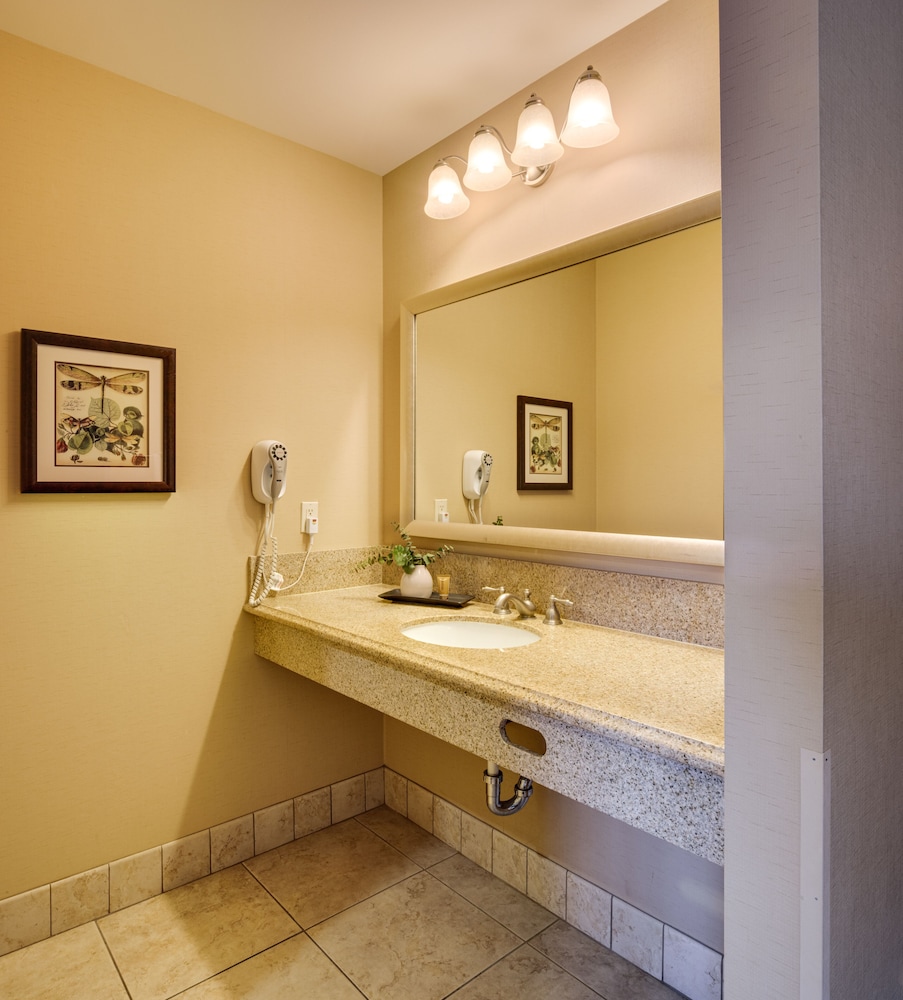 Studio Suite, Multiple Beds - Photo 5