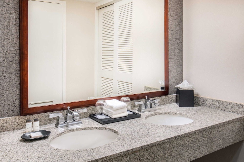 Suite, 1 Bedroom - Photo 11