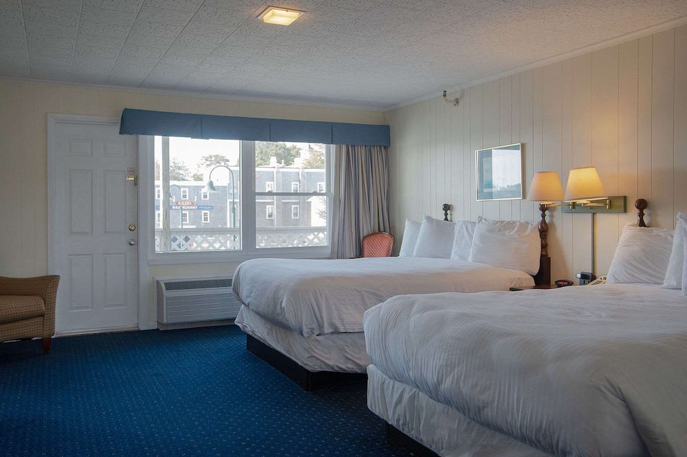 Triple Queen Suite Overlooking Whale Park