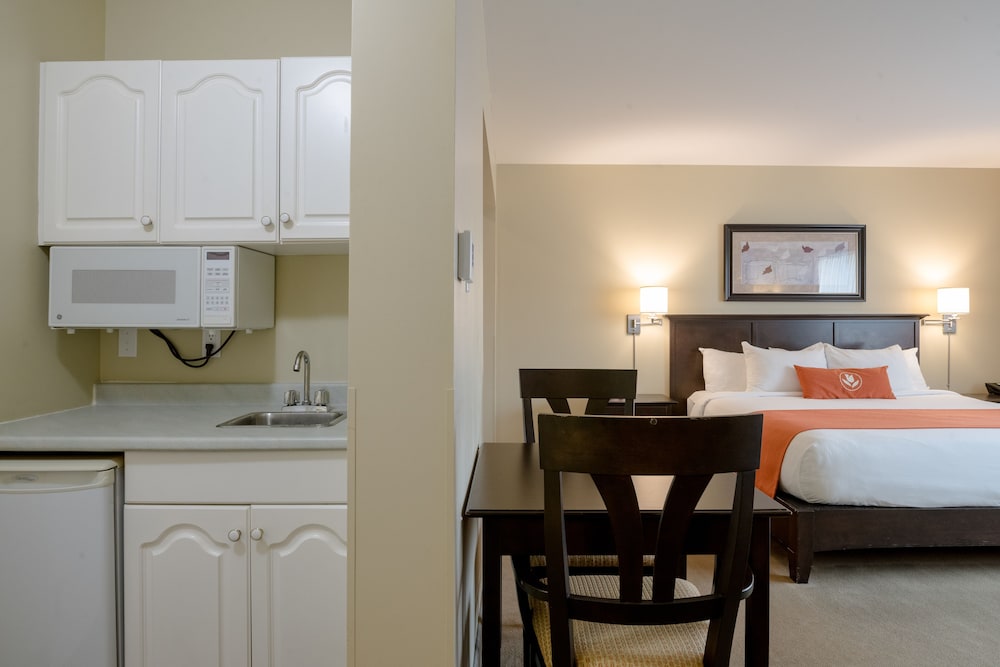 Honeymoon Suite, 1 King Bed with Sofa bed photo 2
